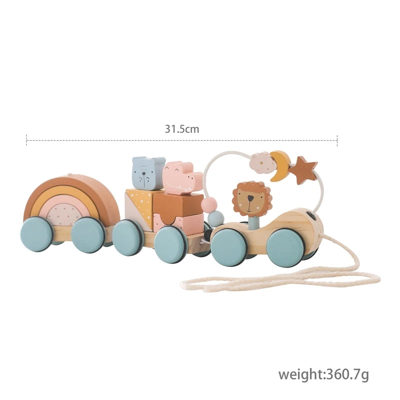 Wooden Montessori Animal Train Set