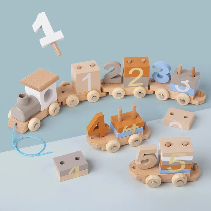 Montessori Wooden Train Set