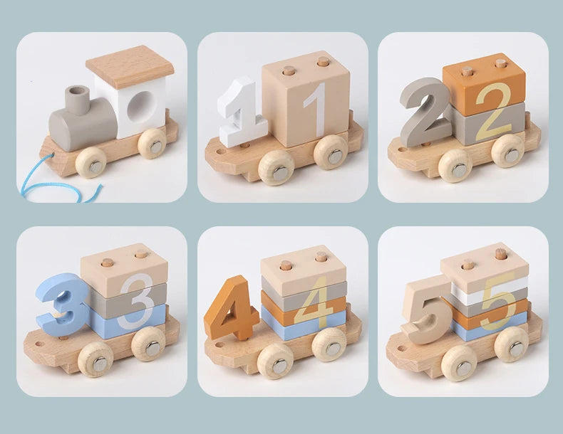 Montessori Wooden Train Set