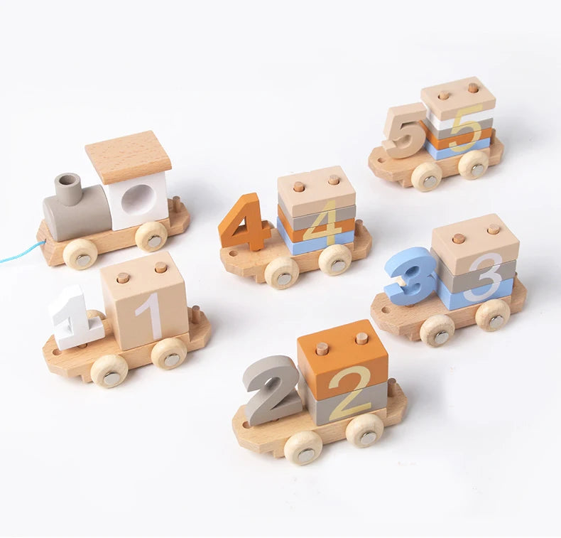 Montessori Wooden Train Set