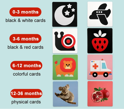 Montessori High-Contrast Visual Flash Cards