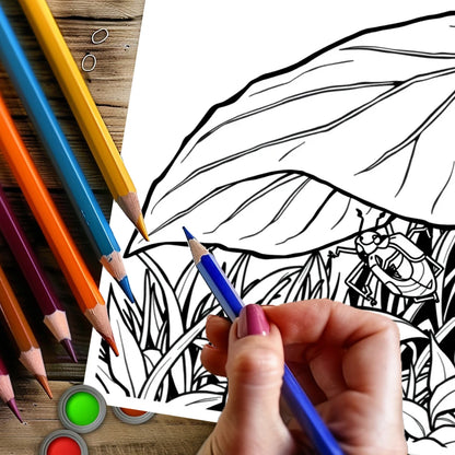 Tropical Paradise Colouring Book
