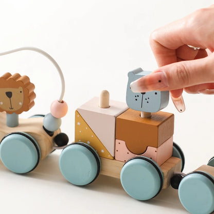 Wooden Montessori Animal Train Set