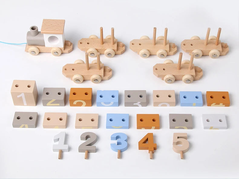 Montessori Wooden Train Set