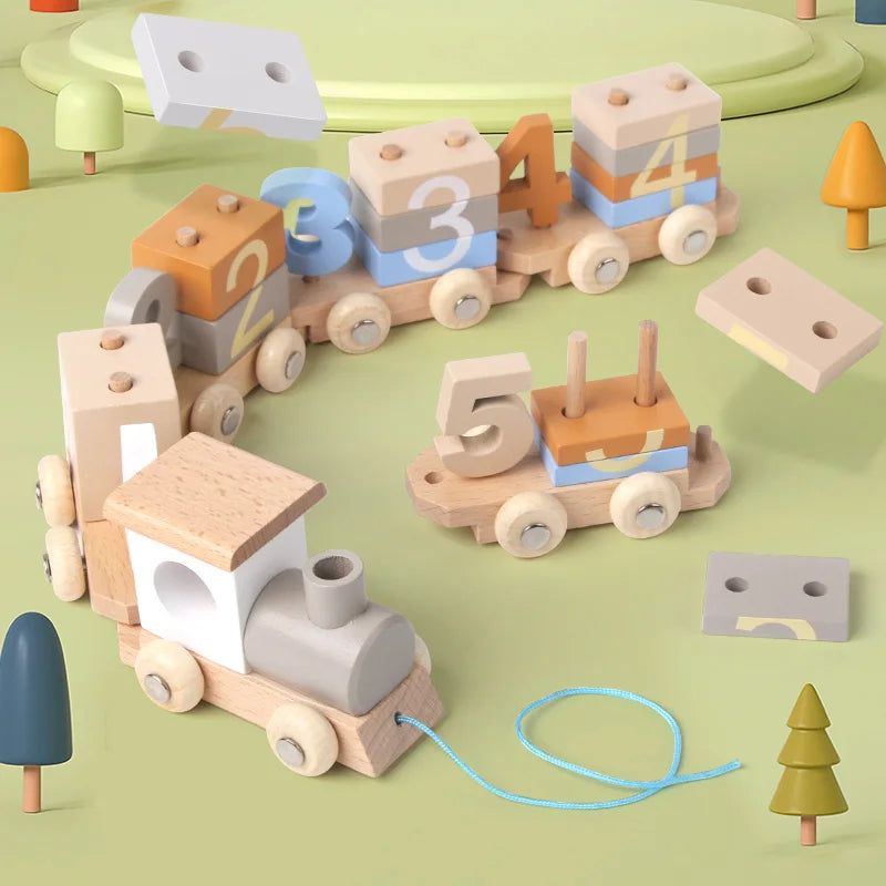 Montessori Wooden Train Set