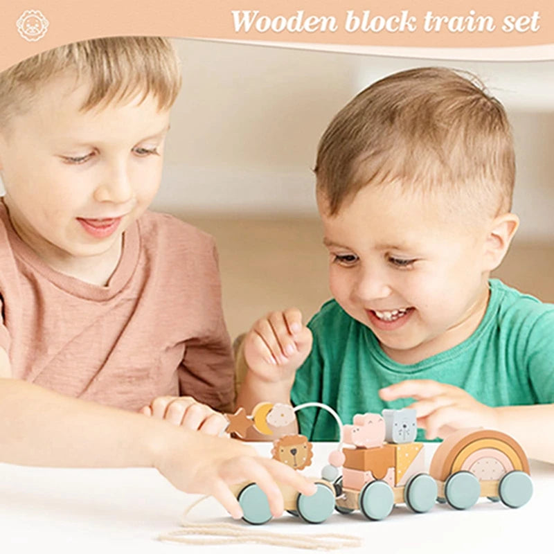 Wooden Montessori Train Set